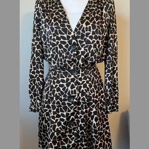 ZARA Animal Print Dress